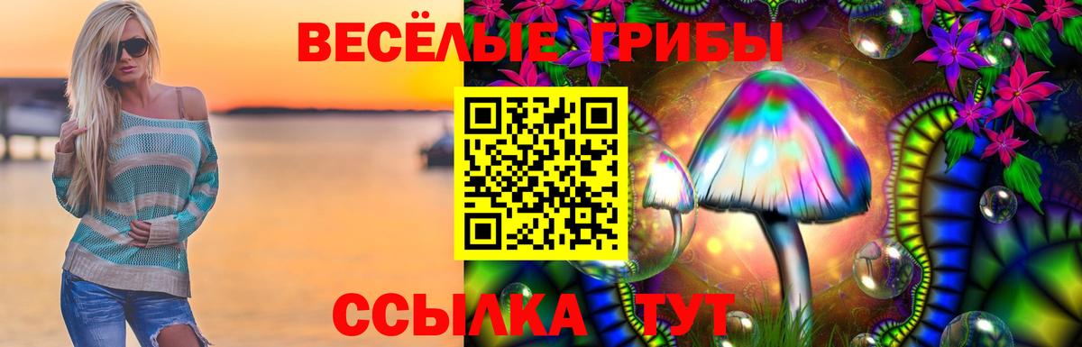 дарнет шоп  Галлюциногенные грибы мицелий  Псилоцибиновые грибы Cubensis  Вход с VPN  Павловский Посад 